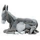 Esel aus Terrakotta für neapolitanische Krippe, 13 cm s1