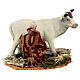 Figura mulher ordenhando uma vaca para presépio napolitano com peças de terracota de 12 cm s2