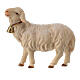Owca patrząca w przód z dzwoneczkiem do szopki Original Pastore drewno malowane Val Gardena 10 cm s1