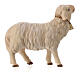 Owca patrząca w przód z dzwoneczkiem do szopki Original Pastore drewno malowane Val Gardena 10 cm s2