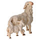 Mouton avec agneau derrière pour crèche Original Berger Val Gardena bois peint de 12 cm s3