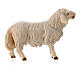 Forward-looking sheep Original Pastore Nativity Scene in painted wood from Valgardena 10 cm s2