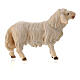 Mouton qui regarde devant lui pour crèche Original Berger Val Gardena bois peint 10 cm s2