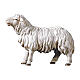 Mouton qui regarde devant lui pour crèche Original Berger Val Gardena bois peint de 12 cm s1
