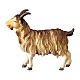 Goat, 10 cm Nativity Original Shepherd model, in painted Valgardena wood s1