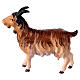 Brown Goat, 12 cm Nativity Original Shepherd model, in painted Valgardena wood s1