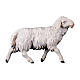Mouton qui court pour crèche Original Berger Val Gardena bois peint de 12 cm s1