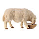 Mouton qui boit crèche Original Berger Val Gardena bois peint 10 cm s2