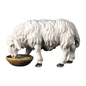 Sheep that drinks statue, 12 cm nativity Original Shepherd model, in painted Val Gardena wood