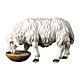 Sheep that drinks statue, 12 cm nativity Original Shepherd model, in painted Val Gardena wood s1