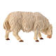 Pecora che mangia presepe Original Pastore legno dipinto in Val Gardena 10 cm s2