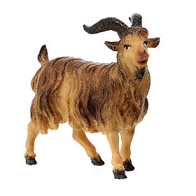 Billy Goat, 10 cm nativity Original Shepherd model, in painted Val Gardena wood