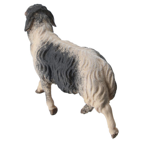 Ovelha manchada que corre para presépio Original Pastor madeira pintada Val Gardena 10 cm 4