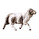 Spotted Sheep Running, 10 cm nativity Original Shepherd model, in painted Val Gardena wood s1