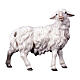 Mouton qui regarde à droite crèche Original Berger bois peint Val Gardena 10 cm s1