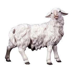 Owca patrząca w prawo szopka Original Pastore drewno malowane Val Gardena 10 cm