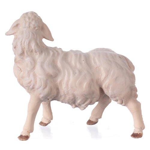 Sheep gazing right, 12 cm nativity Original Shepherd model, in painted Val Gardena wood 3