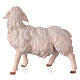 Sheep gazing right, 12 cm nativity Original Shepherd model, in painted Val Gardena wood s3