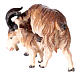 Chèvre avec chevreau crèche Original Berger bois peint Val Gardena 10 cm s3