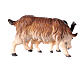 Chèvre avec chevreau crèche Original Berger bois peint Val Gardena 10 cm s4