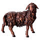 Mouton foncé qui regarde à droite crèche Original Berger bois peint Val Gardena 10 cm s1