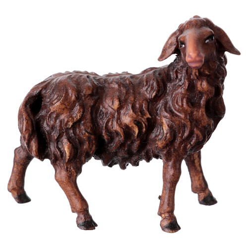 Owca patrząca w prawo ciemne umaszczenie szopka Original Pastore drewno malowane Val Gardena 10 cm 1