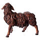 Owca patrząca w prawo ciemne umaszczenie szopka Original Pastore drewno malowane Val Gardena 10 cm s3