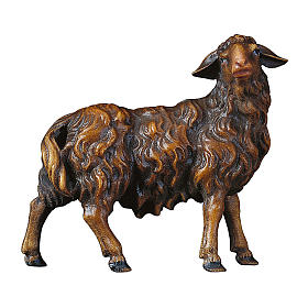 Pecora che guarda a destra scura per presepe Original Pastore legno dipinto in Valgardena 12 cm