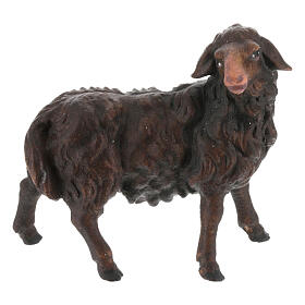 Dark Sheep looking right, 12 cm nativity Original Shepherd model, in painted Val Gardena wood