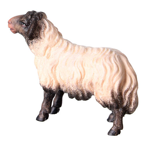 Forward-looking sheep with dark head Original Pastore Nativity Scene in painted wood from Valgardena 10 cm 4