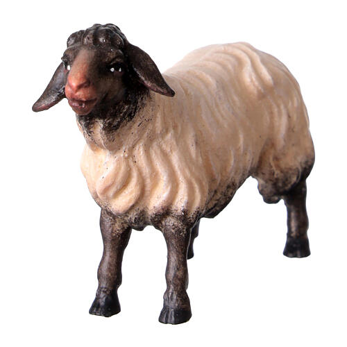 Sheep looking forward with dark head, 10 cm nativity Original Shepherd model, in painted in Val Gardena wood 2