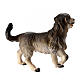 Perro de pastoreo belén Original Pastor madera pintada en Val Gardena 10 cm de altura media s3