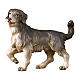 Pies pasterski szopka Original Pastore drewno malowane Val Gardena 10 cm s1