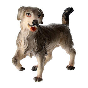 Grazing Dog, 10 cm nativity Original Shepherd model, in painted Valgardena wood