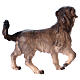 Schäferhund 12cm Mod. Original Pastore Grödnertal Holz s2