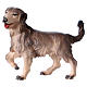 Perro de pastoreo para belén Original Pastor madera pintada en Val Gardena 12 cm de altura media s1