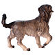 Perro de pastoreo para belén Original Pastor madera pintada en Val Gardena 12 cm de altura media s2