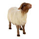 Mouton qui regarde devant tête foncée crèche Original Rédempteur bois peint Val Gardena 10 cm s2