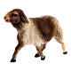 Mouton qui cours tâcheté crèche Original Rédempteur bois peint Val Gardena 10 cm s2
