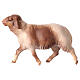 Spotted Sheep Figurine, 12 cm for nativity Original Redeemer model, in painted Val Gardena wood s3