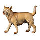 Pies pasterski do szopki Original Redentore drewno malowane Val Gardena 12 cm s1