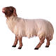 Mouton qui regarde devant tête foncée crèche Original Comète bois peint Val Gardena 10 cm s1