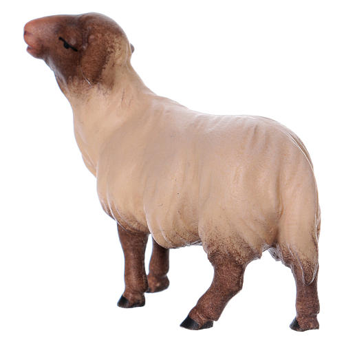 Mouton qui regarde devant tête foncée crèche Original Comète bois peint Val Gardena de 12 cm 3