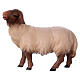 Mouton qui regarde devant tête foncée crèche Original Comète bois peint Val Gardena de 12 cm s1