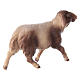 Mouton tacheté qui court crèche Original Comète bois peint Val Gardena 10 cm s3