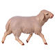 Mouton blanc qui court crèche Original Comète bois peint Val Gardena de 12 cm s1