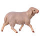 White Sheep Running, 12 cm nativity Original Comet model, in painted Valgardena wood s1