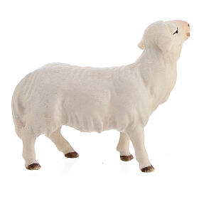 Forward looking sheep Original Cometa Nativity Scene in painted wood from Valgardena 10 cm