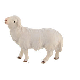 Pecora che guarda avanti presepe Original Cometa legno dipinto in Val Gardena 10 cm