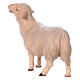 Mouton qui regarde devant lui crèche Original Comète bois peint Val Gardena de 12 cm s3